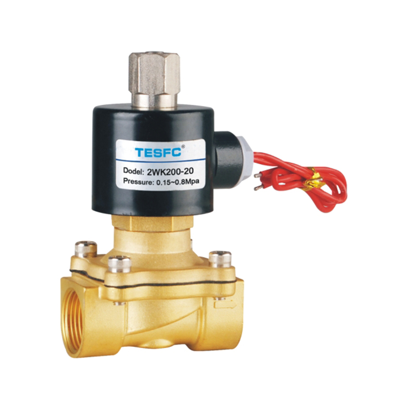 Válvula solenoide roscada bidireccional de 2 semanas